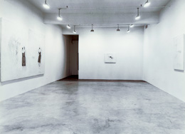 Julião Sarmento Selfish, Proud, Cunning and Regardless of Others