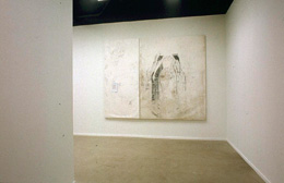 Julião Sarmento Two Rooms