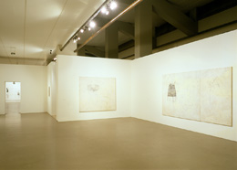 Julião Sarmento Flashback