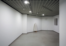 Julião Sarmento Lo Sguardo Selettivo / The Selective Glance