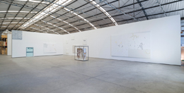 Julião Sarmento Easy, Fractals & Star Map