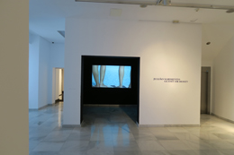 Julião Sarmento Guest or Host?