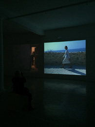 Julião Sarmento Doppelgänger