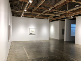 Julião Sarmento LA Prints