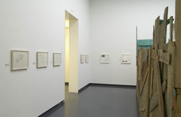 Julião Sarmento Echo