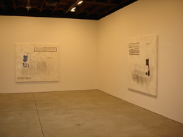 Julião Sarmento Some Limits of Reason