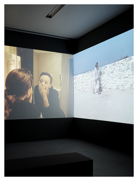 Julião Sarmento Film Works