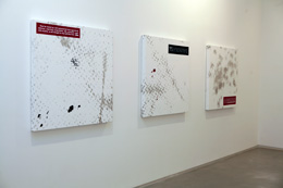 Julião Sarmento Notes Towards a Definition of Pleasure