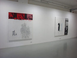 Julião Sarmento Remarks on Colour