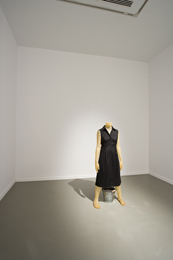 Julião Sarmento Close Distance / Distancias Cortas