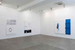 Julião Sarmento Remarks on Colour.3