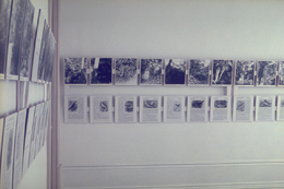 Julião Sarmento Don Juan