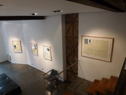 Julião Sarmento Women, Houses, Plants