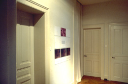 Julião Sarmento Reading Pieces