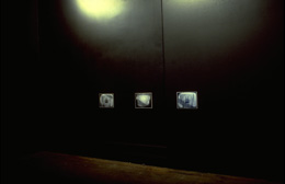 Julião Sarmento Gnait