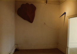 Julião Sarmento Testa