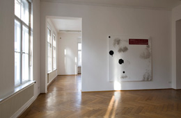 Julião Sarmento Books & Films